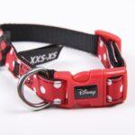 Obroża dla psa Minnie Disney - obrazek 4