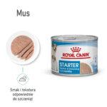 Royal Canin Starter Mus dla Suk i Szczeniąt