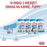 Royal Canin Starter Mus dla Suk i Szczeniąt - obrazek 10