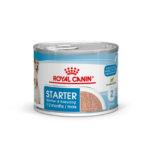 Royal Canin Starter Mus dla Suk i Szczeniąt - obrazek 2