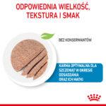 Royal Canin Starter Mus dla Suk i Szczeniąt - obrazek 5