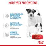 Royal Canin Starter Mus dla Suk i Szczeniąt - obrazek 6