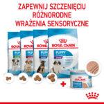 Royal Canin Starter Mus dla Suk i Szczeniąt - obrazek 7