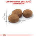 Karma Royal Canin Sterilised dla Kotów 10kg - obrazek 6