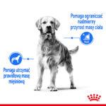 Royal Canin Maxi Light Weight Care 12kg - obrazek 4
