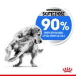 Royal Canin Maxi Light Weight Care 12kg - obrazek 5