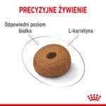 Royal Canin Maxi Light Weight Care 12kg - obrazek 6