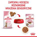 ROYAL CANIN Karma dla sterylizowanych kociąt - obrazek 8