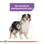 Royal Canin Sterilised Medium 12kg - obrazek 3