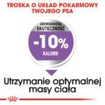 Royal Canin Sterilised Medium 12kg - obrazek 4