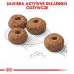 Royal Canin Sterilised Medium 12kg - obrazek 5