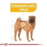 Royal Canin Dermacomfort Medium 12kg - obrazek 3