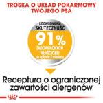 Royal Canin Dermacomfort Medium 12kg - obrazek 4