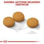 Royal Canin Dermacomfort Medium 12kg - obrazek 5