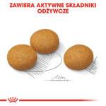 Royal Canin Maxi Dermacomfort 12kg - obrazek 5