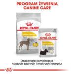 Royal Canin Maxi Dermacomfort 12kg - obrazek 6