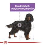 Royal Canin Maxi Sterilised 12kg - obrazek 3