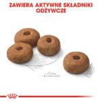 Royal Canin Maxi Sterilised 12kg - obrazek 5