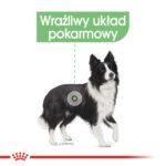 ROYAL CANIN Digestive Care Medium 12kg - obrazek 4