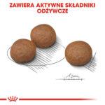 ROYAL CANIN Digestive Care Medium 12kg - obrazek 6