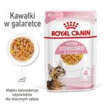 Royal Canin Kitten Sterilised Galaretka