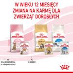 Royal Canin Kitten Sterilised Galaretka - obrazek 10