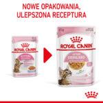 Royal Canin Kitten Sterilised Galaretka - obrazek 4