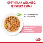 Royal Canin Kitten Sterilised Galaretka - obrazek 5
