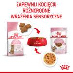 Royal Canin Kitten Sterilised Galaretka - obrazek 7
