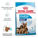 ROYAL CANIN Maxi Starter Suka & Szczenięta 15kg