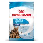 ROYAL CANIN Maxi Starter Suka & Szczenięta 15kg - obrazek 2