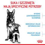 ROYAL CANIN Maxi Starter Suka & Szczenięta 15kg - obrazek 4