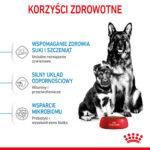 ROYAL CANIN Maxi Starter Suka & Szczenięta 15kg - obrazek 5