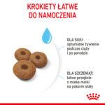 ROYAL CANIN Maxi Starter Suka & Szczenięta 15kg - obrazek 6