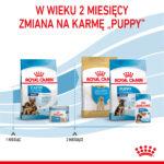 ROYAL CANIN Maxi Starter Suka & Szczenięta 15kg - obrazek 7