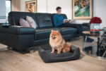AMIPLAY Sofa Morgan ZipClean Biała S - obrazek 6