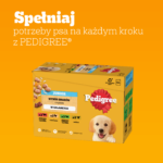 Pedigree Junior Karma Mokra Mix 12x100g - obrazek 10