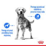 ROYAL CANIN Medium Light Weight Care - obrazek 4