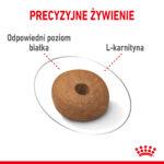 ROYAL CANIN Medium Light Weight Care - obrazek 5