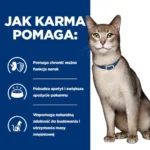 Hill's k/d Feline Łosoś Nerki - obrazek 7