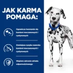 Hill's Prescription Diet u/d Urinary Care 10kg - obrazek 5