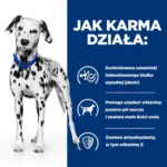 Hill's Prescription Diet u/d Urinary Care 10kg - obrazek 6