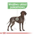 Royal Canin Maxi Digestive Care 12kg - obrazek 3