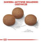 Royal Canin Maxi Digestive Care 12kg - obrazek 5