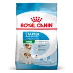 Karma Royal Canin Mini Starter 8kg - obrazek 3