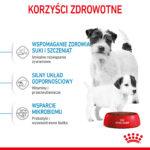 Karma Royal Canin Mini Starter 8kg - obrazek 6