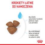 Karma Royal Canin Mini Starter 8kg - obrazek 7