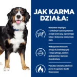 Hill's Metabolic + Mobility Karma dla Psa 4kg - obrazek 5