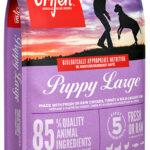 Orijen Puppy Large 6kg