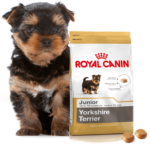 Karma Royal Canin Yorkshire Terrier Puppy 500g - obrazek 5
